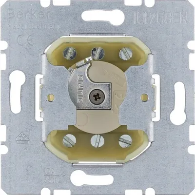 Image de Berker 382210 Interrupteur à clé de store pour demi-cylindre profilé Inserts modulaires
