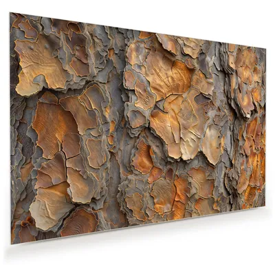 Produktbild von Glasbild 45x30cm in XXL für Wohnzimmer, Schlafzimmer Motiv Rinde Struktur Formen