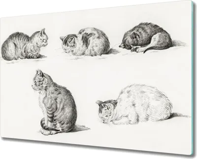 Produktbild von Coloray Küchenbrett Kochplattenabdeckung Hackbrett Schneidebrett Herdabdeckplatte 80x52 cm - Tiere Katzen