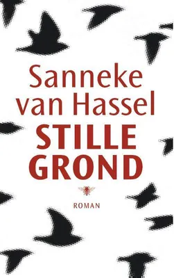 Image de Stille grond
