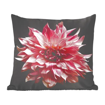 Produktbild von MuchoWow® Zierkissen Sofakissen Wohnzimmer Dekokissen 45x45 cm Dahlie - Blumen - Rosa - Schlafpolster - Polster für das Sofa