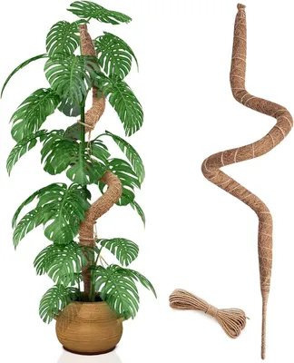 Image de Support flexible pour mousses, 120 cm, support pour plantes grimpantes, pour intérieur et extérieur