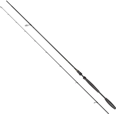 Obrázok produktu pre Westin W10 Spin 10' 300 cm M 7–28 g Prút na pstruhy jazerné