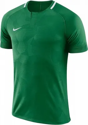 Produktbild von Nike M NK DRY CHALNG II JSY SS | PINE GREEN/WHITE/PINE GREEN/WHITE | Größe: S