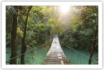 Produktbild von Poster - Poster ohne Rahmen - Brücke Seil Dschungel - 91,5x61 cm - Wand Bild - Wanddeko - Wandbilder - Kunstposter - Wandposter - Bilder - Kunstdruck - Wanddekoration - Wandbild - P2XAA91x61-4397