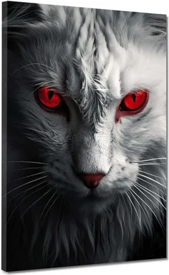 Produktbild von Katze weiss mit rote Augen Leinwandbild Wandbild wunderschön Kunstdruck XL: 60x80x4cm
