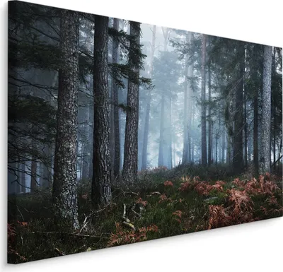 Obrázek produktu pro Obrázek borový les v mlze divoká příroda tropické ložnice dekorace 3D 120x80cm