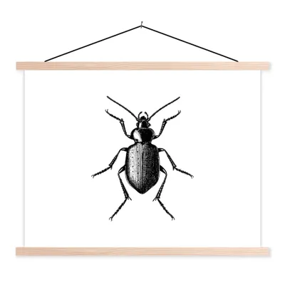 Produktbild von MuchoWow® Textilposter Käfer - Tiere - Vintage - Schwarz und weiß 60x45 cm mit holzfarbenen Rahmen - Bild