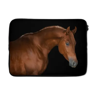 Produktbild von MuchoWow® Laptop Hülle 14 ZollPferd - Schwarz - Braun Laptoptasche - Laptoptasche - Stoßsicher - Schutzhaube