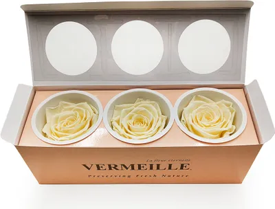 Image de Enchanted Rose Stabilisée Jaune Pastel XL Décoration