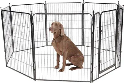 Productafbeelding van Hondenren - Puppyren - 8 Panelen - 100 x 80 CM - Opvouwbaar - Met Deur - Staal - Zwart