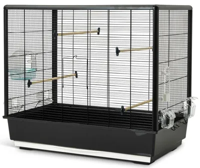Immagine prodotto di Savic Primo 60 Birdcage Nero Nero Taglia Unica
