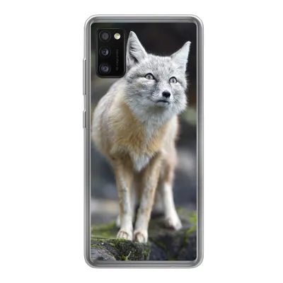 Produktbild von MuchoWow® Handyhülle Schutzhülle Hülle für Samsung Galaxy A41 Fuchs - Makro - Baum Silikon Softcase Handy Hülle - Mobiltelefon