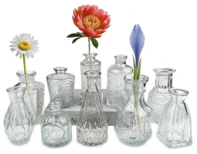 Glasvasen-Set, 10 Stück, transparent, verschiedene Größen, für Tischdekoration
