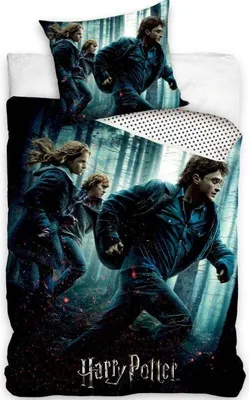 Produktbild von Bettwäsche 2 TLG. Set Harry Potter, 135x200 + 1 Kissenbezug 80x80 cm, HP203032. 100% Baumwolle