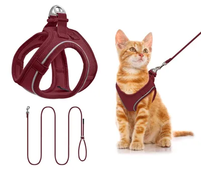 Image de Harnais chat avec laisse - Harnais en maille respirante - Taille XXS - Bordeaux - Réfléchissant à 360 degrés