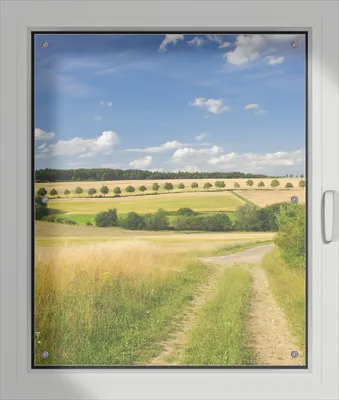 Produktbild von Wallario Lichtschutzbild, Dekorativer Sichtschutz Sonnenschutz 76 x 93 cm mit Motiv: Feldlandschaft unter blauem Himmel - Verdunklung ohne Bohren