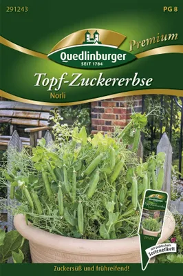 Produktbild von Topf-Zuckererbse 'Norli' Quedlinburger Gemüsesamen