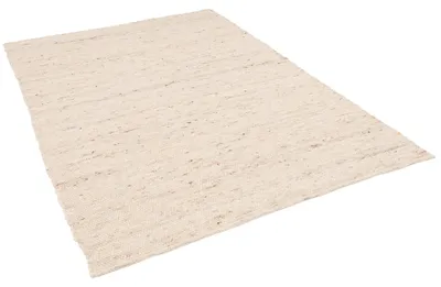 Produktbild von Natur Teppich Wolle Alaska Meliert, Farbe:Beige, Größe:60x90 cm