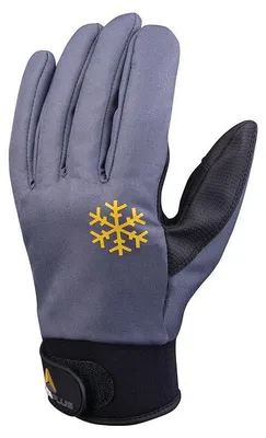 Image de Gants hiver Borok DELTA PLUS VV903