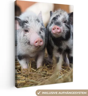 Produktbild von MuchoWow® - Leinwandbilder - Schwein - Tiere - Ferkel, Wandbild, Wanddeko Bilder Wohnzimmer, 90x120 cm