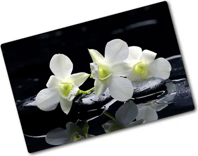 Produktbild von Tulup Glas Herdabdeckplatte - 80x52 cm - Glaskeramikkochfeld-Abdeckung Spritzschutz Glasabdeckplatte - Einteilig - Blumen & Pflanzen - Orchidee - Weiß