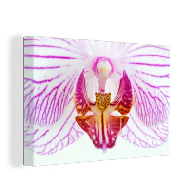 Produktbild von OneMillionCanvasses® - Leinwandbilder - 150x100 cm, Orchidee Detail, Wandbilder Kunstdruck Wanddekoration
