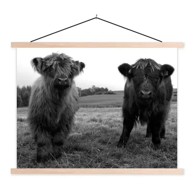 Produktbild von MuchoWow® Textilposter Schottische Highlander - Kühe - Natur - Grün - Gras 40x30 cm mit holzfarbenen Rahmen - Bilder
