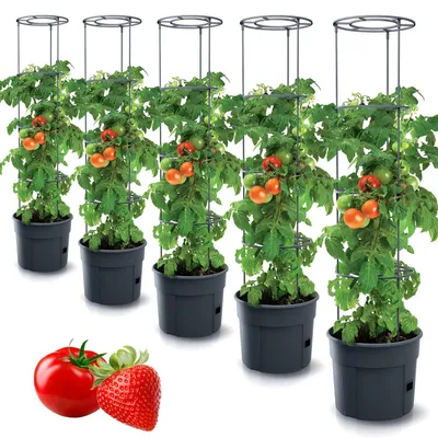 Produktbild von Tomatenpflanzgefäß mit Klimahilfe und Wasserspeicher (Set mit 5 Stück)