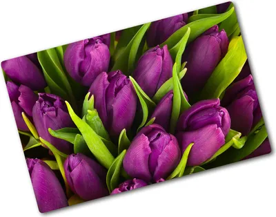 Produktbild von Tulup Glas Herdabdeckplatte - 80x52 cm - Glaskeramikkochfeld-Abdeckung Spritzschutz Glasabdeckplatte - Einteilig - Blumen & Pflanzen - Lila Tulpen - Lila