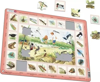 Immagine prodotto di Puzzle Stagno Maxi