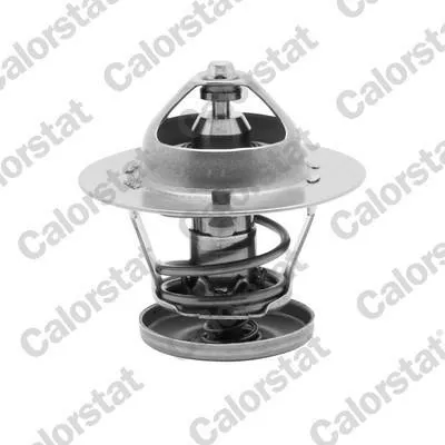 Produktbild von CALORSTAT by Vernet Thermostat + Dichtung