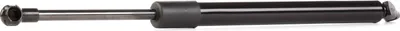 Produktbild von RIDEX 219G0436 Gasfeder Heckklappendämpfer für BMW 5 Limousine (E39) 335mm
