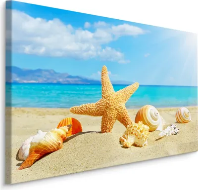 Produktbild von Fabelhafte Canvas LEINWAND BILDER 120x80 cm XXL Kunstdruck Strand Muscheln Sonne Meer