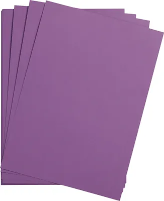 Produktbild von Clairefontaine Maya Fotokarton 50x70cm 270g 125 Bogen - Violett 397259C