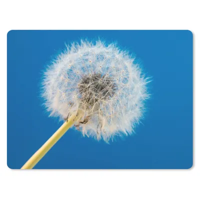 Produktbild von MuchoWow® Mauspad Mousepad Löwenzahn - Blume - Terrasse 23x19 cm - Mousepads - Maus Mat - Pad - Mausunterlage - Schreibtischunterlage - Mauspad