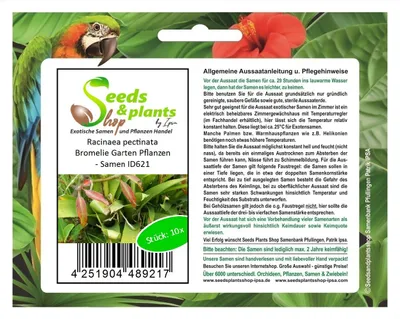 Produktbild von 10x Racinaea pectinata Bromelie Garten Pflanzen - Samen ID621