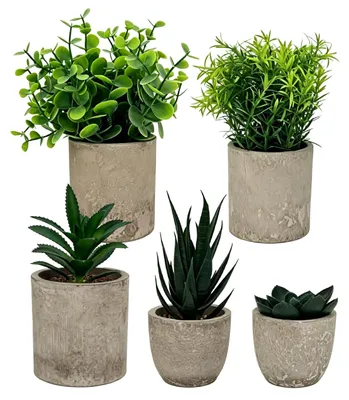 Immagine prodotto di Set di 5 piante artificiali per la decorazione della casa