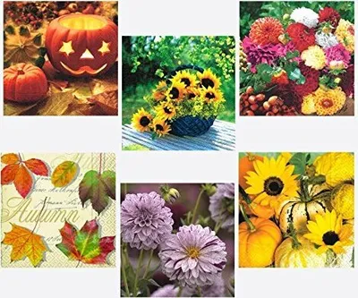Obrázok produktu pre IDENA Idena servítky 33x33cm 20ks. Jesenné motívy rôznorodé