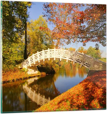 Produktbild von Bilder auf glas - Stream Fußgängerbrücke Herbst - 70x70cm - Glasbilder - Wandbilder - Kunstdruck - zum Aufhängen bereit - Wanddekoration aus Glas - Glas Bilder - Wandbild auf Glas - GAC70x70-2654