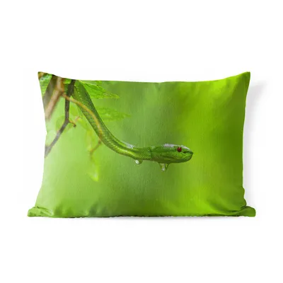 Obrázek produktu pro MuchoWow® Vnější polštář - Zelený had zblízka -60x40 cm- Odolnost proti povětrnostním vlivům - polštář do obývacího pokoje