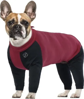 Productafbeelding van Frotteerugdekens voor kleine honden