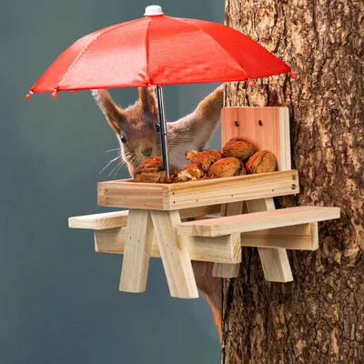 Produktbild von Eichhörnchen Futterstation PICKNICK mit Schirm - 21 x 18 cm - Futterhaus aus Holz zum Hängen