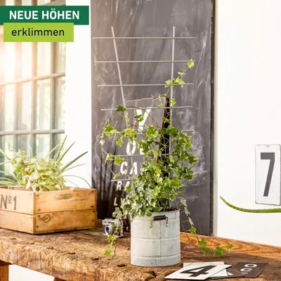 Produktbild von Blumenstütze Metall
