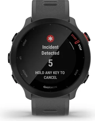 Image de Garmin Forerunner 55 Monterra Grey