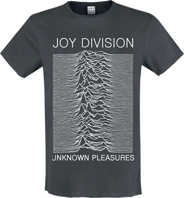 Produktbild von Amplified T-Shirt Herren Amplified Collection - Unknown Pleasures charcoal XL
