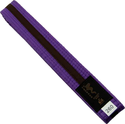 Produktbild von TEKKA BUDO Kampfsport Gürtel mit Mittelstreifen violett-braun 280 cm 2-farbig - Budogürtel, Karate, Judo, Taekwondo, Ju-Jutsu