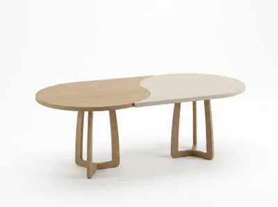 Image de Table basse beige et marron, en bois, design, forme ovale, pour salon