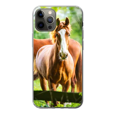 Produktbild von MuchoWow® Handyhülle Schutzhülle Hülle für iPhone 12 Pro Pferde - Licht - Wiese Silikon Softcase Handy Hülle - Abdeckung