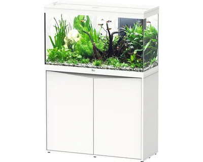 Produktbild von Aquariumkombination aquatlantis Splendid 200 inkl. LED-Beleuchtung, Filter, Unterschrank weiß
